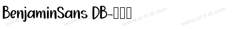BenjaminSans DB字体转换